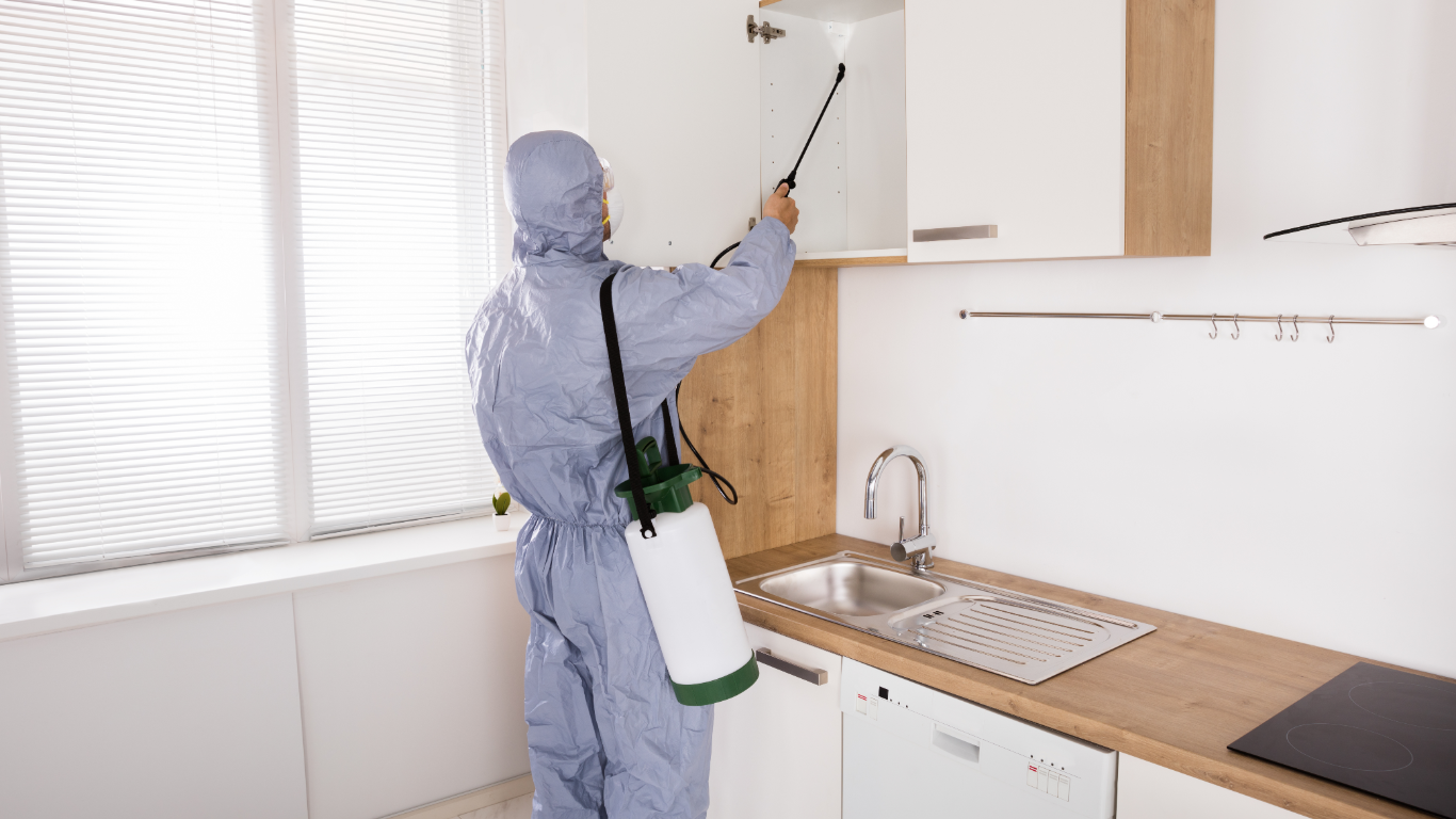 Pest Control technicians pet and eco friendly gold coast