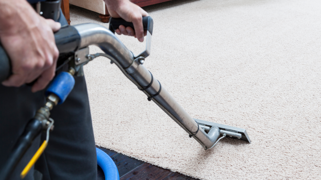 Cleaning carpets dry carpet cleaning carpet washing and shampooing affordable and cheap
