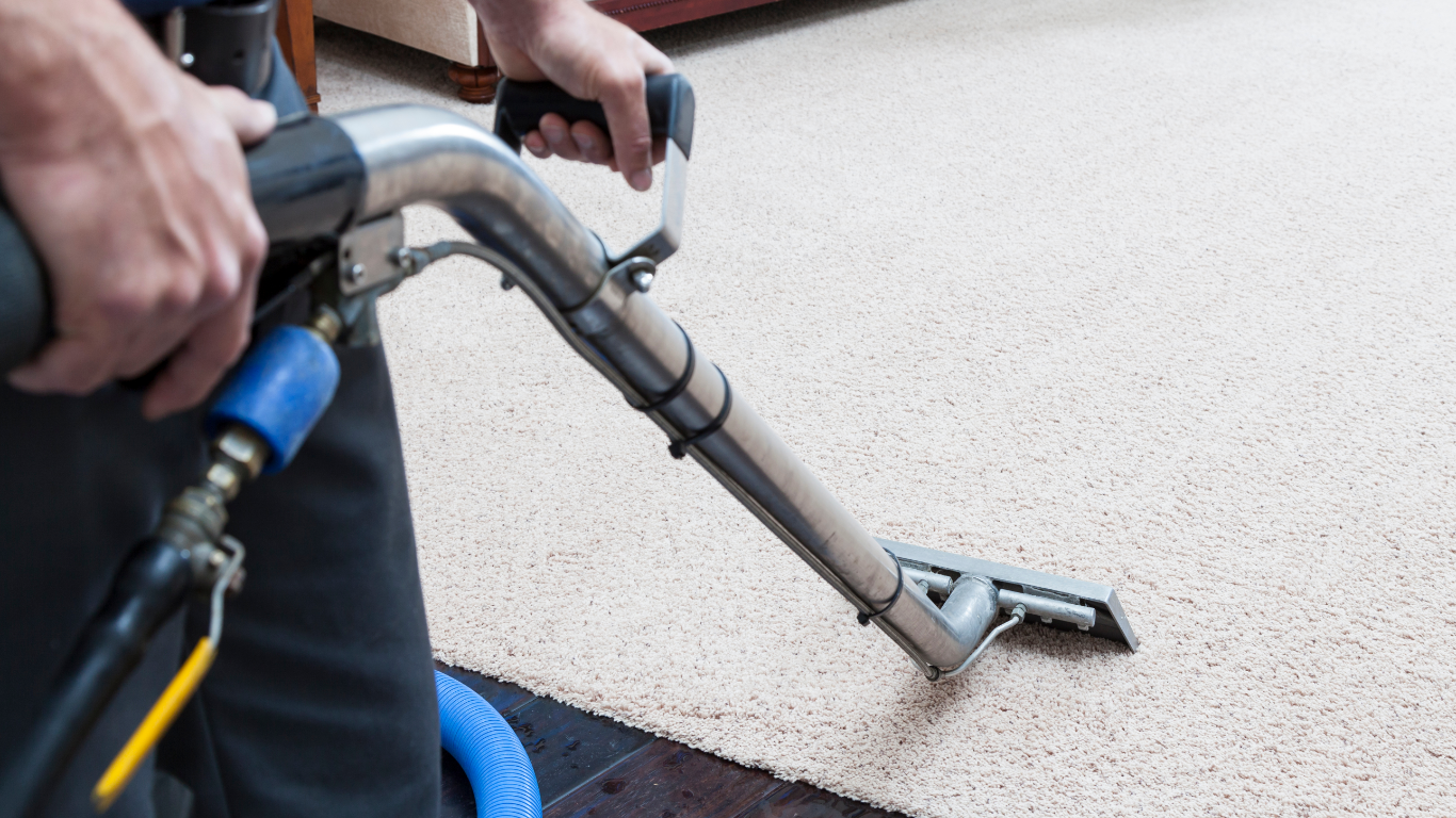 Cleaning carpets dry carpet cleaning carpet washing and shampooing affordable and cheap