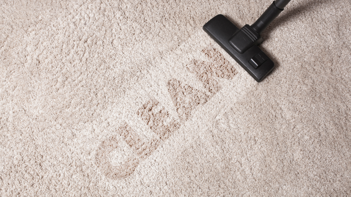 Carpet Cleaning bond cleans rug cleans stain removal on gold coast