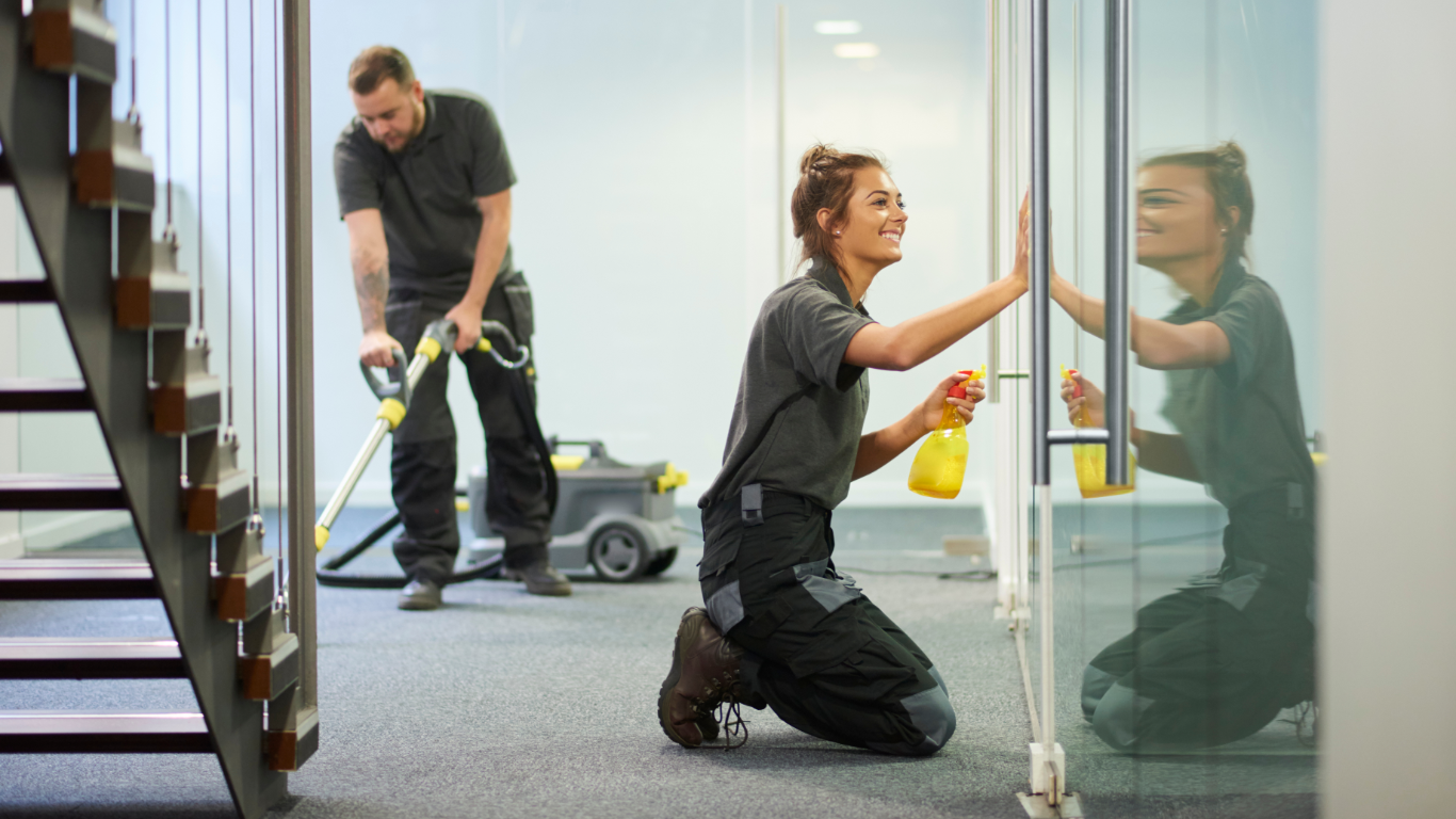 commerical and hotel carpet cleaning professionals cheap and affordable