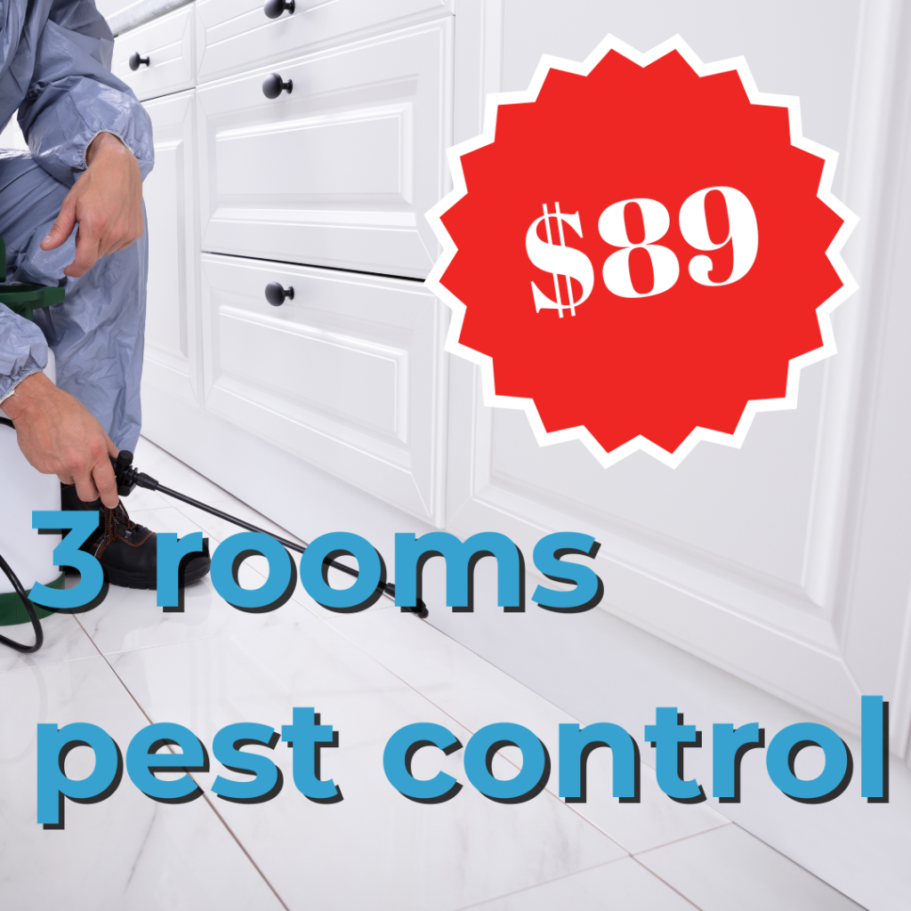 3 rooms pest control gold coast
